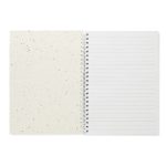 SEED RING - imagine 2