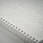 SEED RING - imagine 5